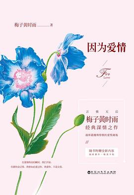 梅子黄时雨最新作品，生活的诗意与远方的探索