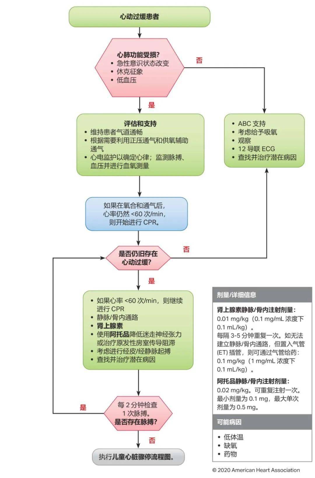 心肺复苏最新指南，从理论到实践，掌握关键步骤全面解析